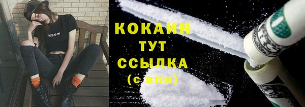 твердый Кулебаки
