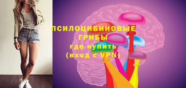 твердый Кулебаки