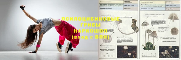 твердый Кулебаки