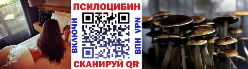 Купить Кореновск Псилоцибиновые грибы Magic Shrooms