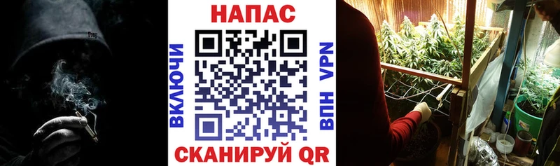 Купить  Кореновск  Бошки марихуана индика 